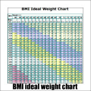 Charts Jounals and Calendars to Maintain and Achieve Ideal Body Weight