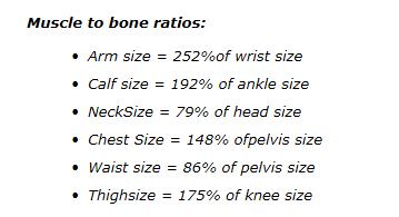 ideal body measurements based on wrist measurements